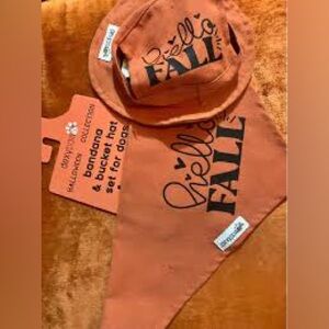 Dog Bandana for Small Dogs “Hello Fall”
